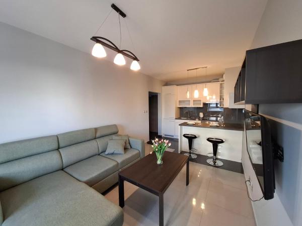 A la foto es mostra l'objecte Tauzen Apartaments 216 situat a la ciutat de Katowice.