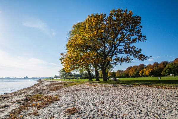 Foto 2: Lys, charmerende, tæt på strand