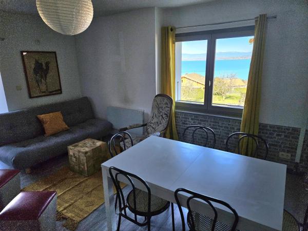 A la foto es mostra l'objecte La petite maison vue lac d'Elise situat a la ciutat de Neuvecelle.