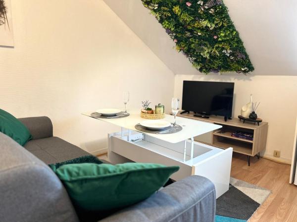 A la foto es mostra l'objecte Nid Douillet Proche Centre ville situat a la ciutat de Troyes.