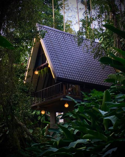 A la foto es mostra l'objecte THE JUNGLE CABIN ella situat a la ciutat de Ella.