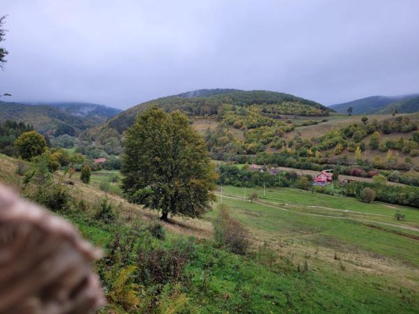 Na fotografii je vidět objekt Casa Turia nacházející se ve městě Turia.