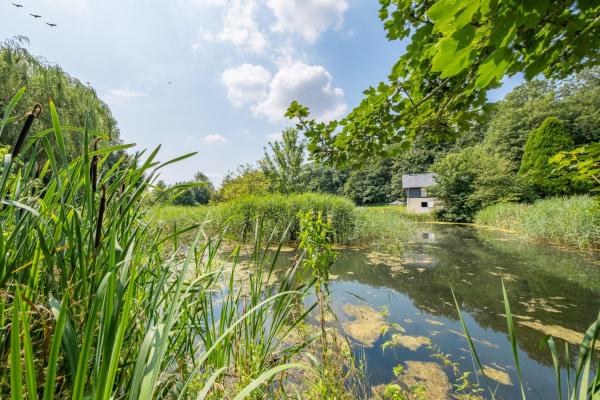 Na fotografii je vidět objekt Belchamp Hall Mill nacházející se ve městě Gestingthorpe.