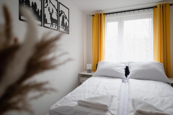 Apartament Zakopane Apart Centrum 338, Zakopane