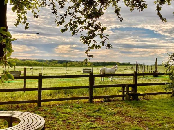 Auf dem Foto ist das Objekt Nestled between Walberswick and Southwold in der Stadt Blythburgh zu sehen.