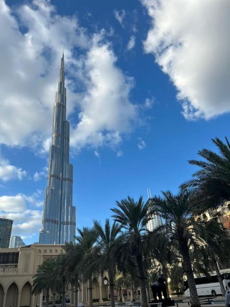 A la foto es mostra l'objecte Dubai mall Aparment situat a la ciutat de Dubai.