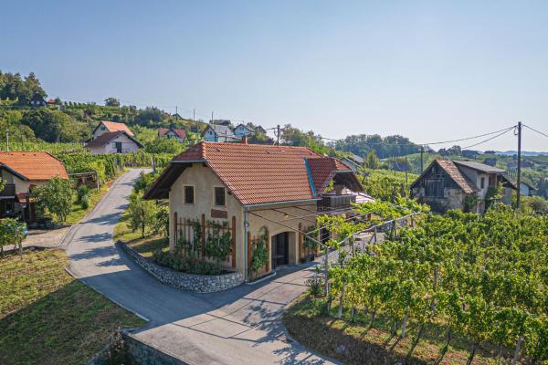 Na fotografii je vidět objekt Vineyard Cottage Brodaric - Happy Rentals nacházející se ve městě Metlika.