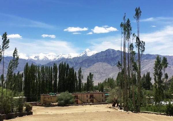 A la foto es mostra l'objecte TIH Hotel Jorchung situat a la ciutat de Leh.