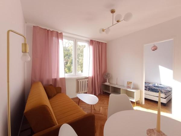 Na fotografii je vidět objekt Apartament Stare Miasto nacházející se ve městě Iława.