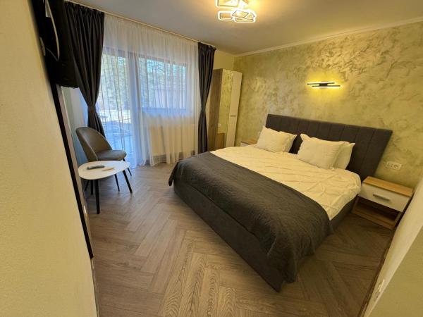 Na zdjęciu widoczny jest obiekt Vila Monica położony w mieście Buşteni.
