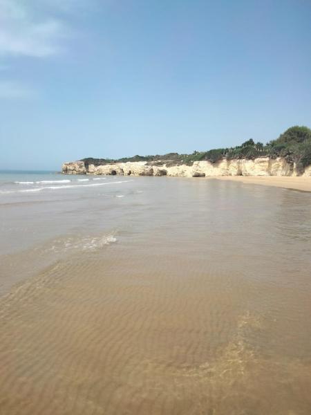 La photo montre l'objet Filhome Mare situé dans la ville de Santa Maria Del Focallo.