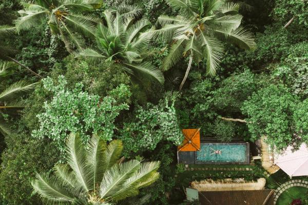 The Nest in Ubud, Убуд