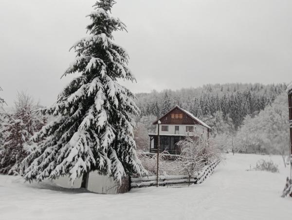 A la foto es mostra l'objecte Cabana Țibleș Bichigiu situat a la ciutat de Telcişor.