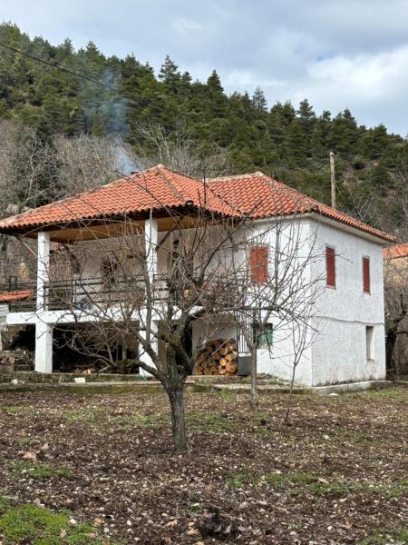 Nella foto è visibile l'oggetto To XYLINO situato nella città di Valimí.