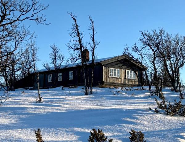 A la foto es mostra l'objecte Cozy cabin near Geilo & Dagali terrace, grill, fireplace, view & WiFi situat a la ciutat de Hol.