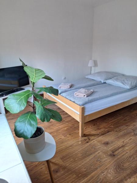A la foto es mostra l'objecte Apartament Żółkiewski situat a la ciutat de Sandomierz.