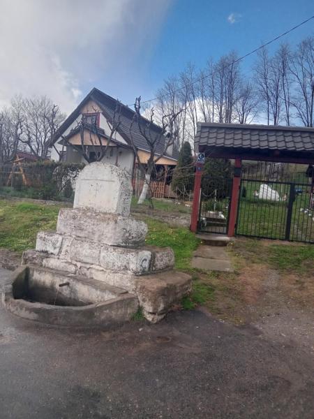 Na zdjęciu widoczny jest obiekt Cabana Dori położony w mieście Caşolţ.