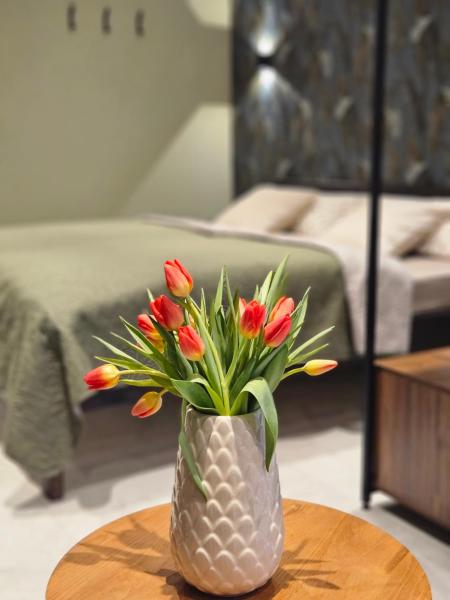 写真にはルスト市にあるApartment Tomm by Europa-Park & Rulanticaが写っています。