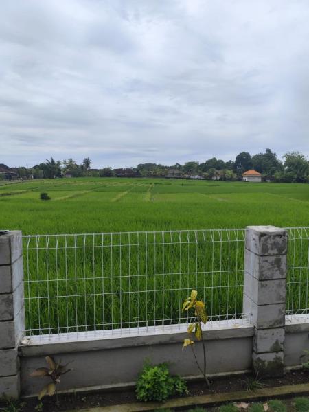 A la foto es mostra l'objecte Umo Dewi situat a la ciutat de Krambitan.