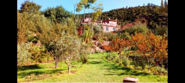 Na foto é possível ver o objeto Ourika Timalizène le jardin des délices localizado na cidade de Asguine.