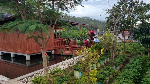 Villa Syariah Ciwidey Bandung Arreneuz View Kebun