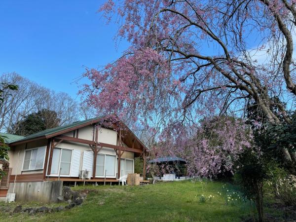 Foto 5: コテージいっぺき湖
