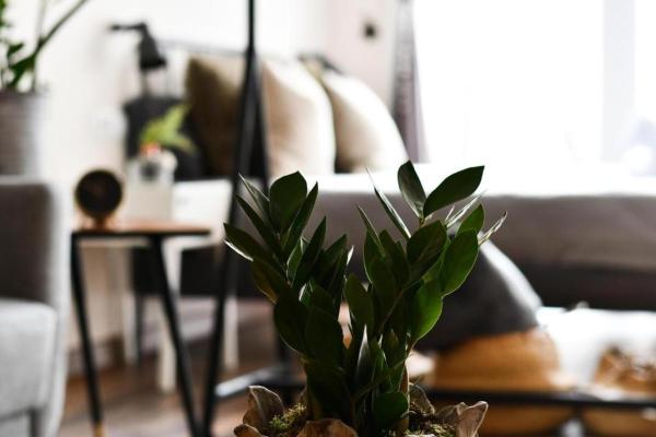 A la foto es mostra l'objecte Loft by Celta Home situat a la ciutat de Vigo.