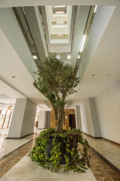 Solid Residence Mamaia 387 photo 5