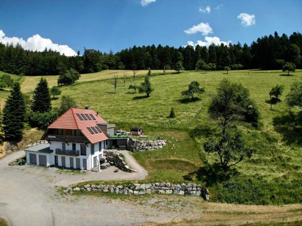 A la foto es mostra l'objecte Haus Mit Whirlpool, Sauna Und Schwarzwaldblick situat a la ciutat de Hausach.