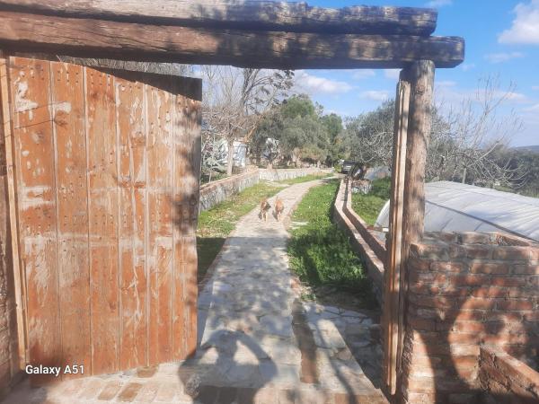 A la foto es mostra l'objecte Ali dede kamp karavan bungalow situat a la ciutat de Kirazli.
