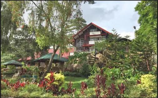 Nella foto è visibile l'oggetto Log Cabin Hotel - Baguio situato nella città di Baguio.