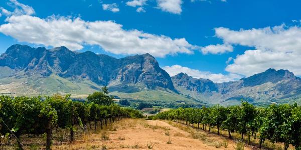 Esperon - Stellenbosch