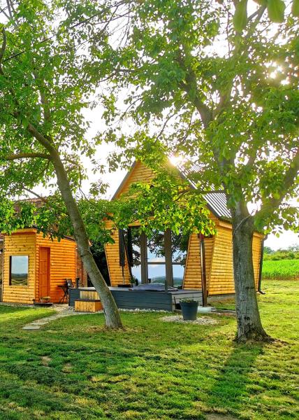 A la foto es mostra l'objecte Woody situat a la ciutat de Kispeterd.