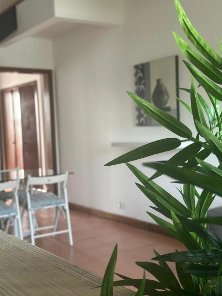 Azores Pedra Apartments - T0 E T1 - Ponta Delgada