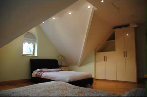 En la foto se muestra el objeto Tranquil Haven Mansion ubicado en la ciudad de Roscommon.
