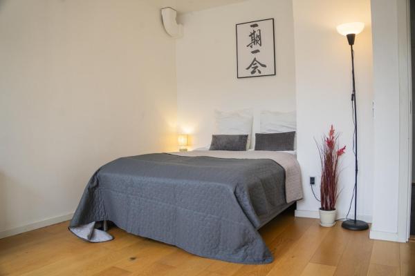 Private room in spacious copenhagen-based apartment, Copenhagen