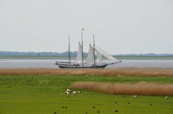 A la foto es mostra l'objecte Auszeit am Elbdeich in Sankt Margarethen situat a la ciutat de Büttel.