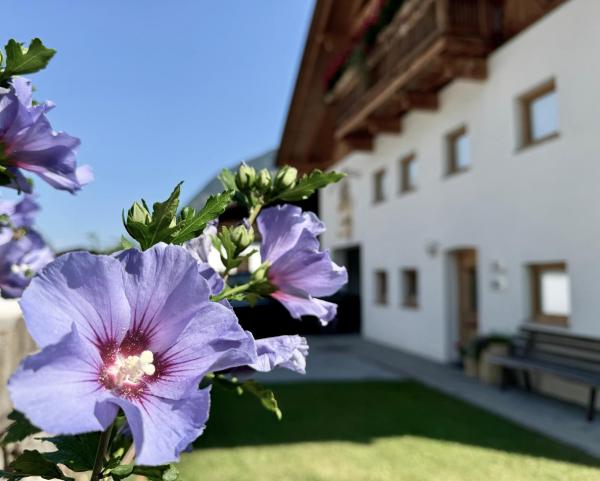 En la foto se muestra el objeto Landhaus Waldhart ubicado en la ciudad de Umhausen.
