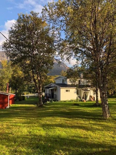 Na fotografii je vidět objekt House at Elvevoll nacházející se ve městě Elvevollen.