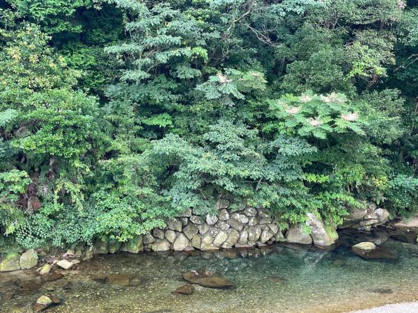 Billede 9: シーラニ白浜荘