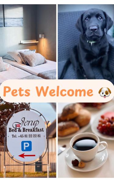 Foto 2: Jerup Bed & Breakfast
