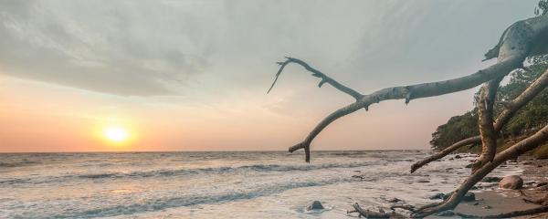 Meeresrauschen - Direkt Am Meer - Fehmarn