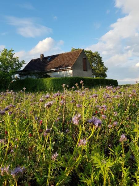 A la foto es mostra l'objecte Ferienhaus Gransee unmittelbar am Stechlinsee - Radweg situat a la ciutat de Glambeck.