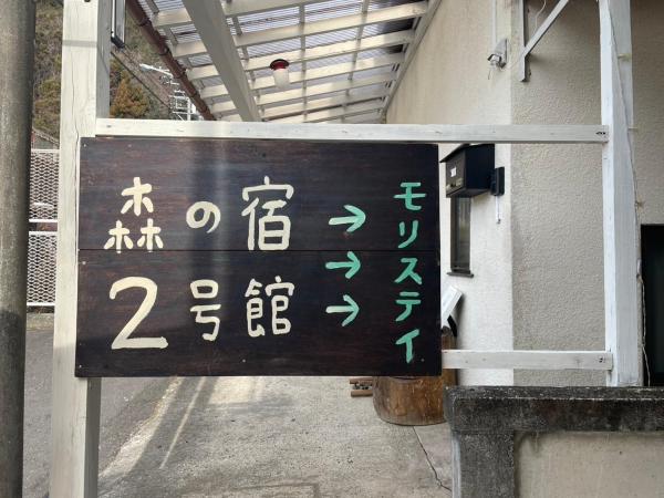 Zdjęcie 8: モリステイ