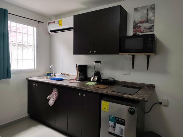 apartamentito tipo estudio AMUEBLADO tranquilo y acogedor cocina y baño privado independiente en CHANIS cerca de Costa del este, Панама