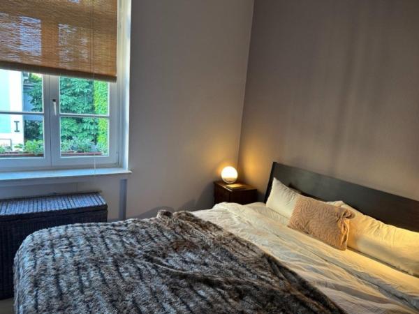 A la foto es mostra l'objecte Cozy, Apartment, 15 Min to Frankfurt City Center situat a la ciutat de Offenbach.