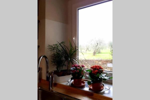 Allie's Flat - Bagno A Ripoli