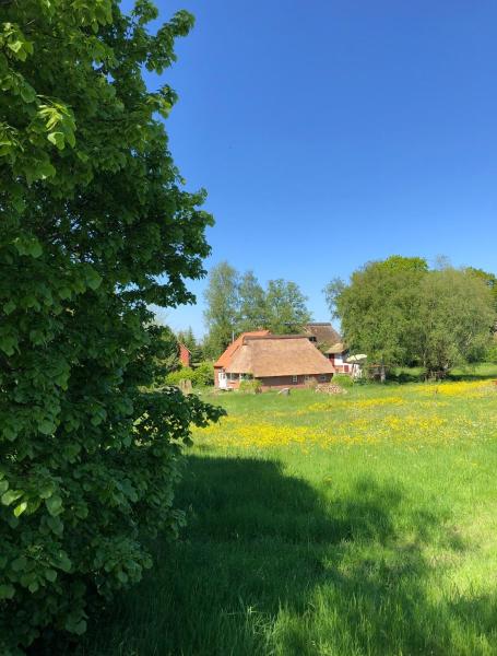 A la foto es mostra l'objecte Haus Lieschen situat a la ciutat de Holtsee.