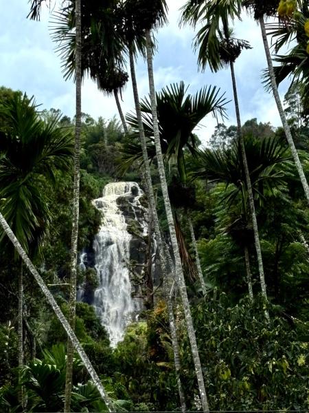 A la foto es mostra l'objecte Cozy Homestay Waterfall Road Ella situat a la ciutat de Ella.