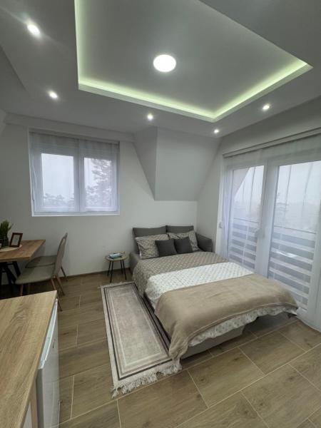 A la foto es mostra l'objecte Apartmani Mojić situat a la ciutat de Divčibare.